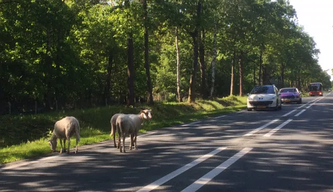 kwb641c1wsan7dzn3075sorjx schaap1