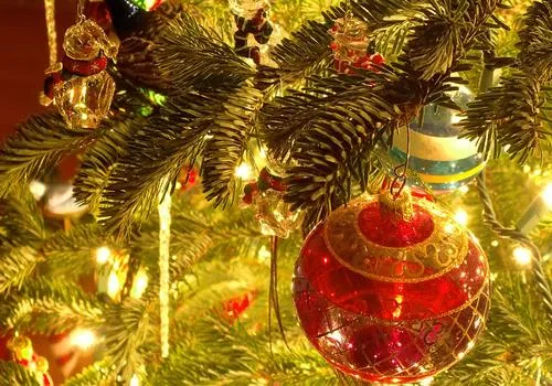 l612tpi9hw6l4mfpyvr7icxnr kerstboom