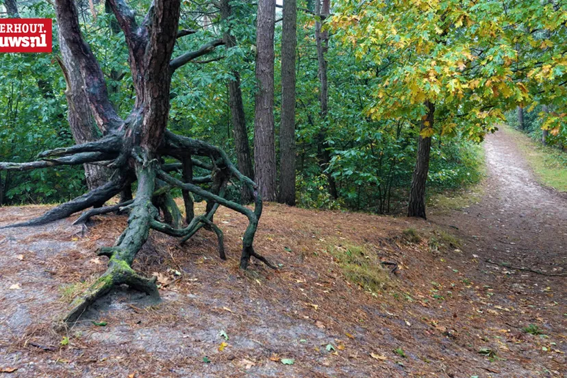 landgoed oosterheide