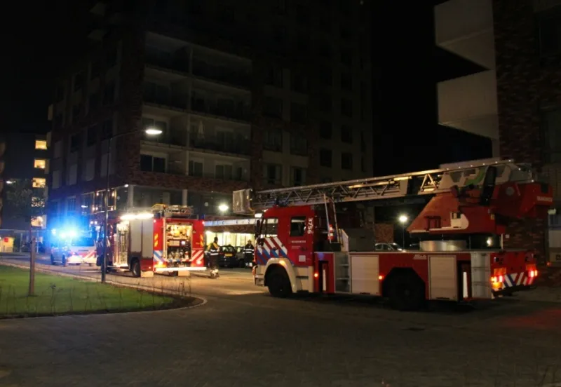 lcz6bsn7vfkwwzw0iatjerq33 brand 4