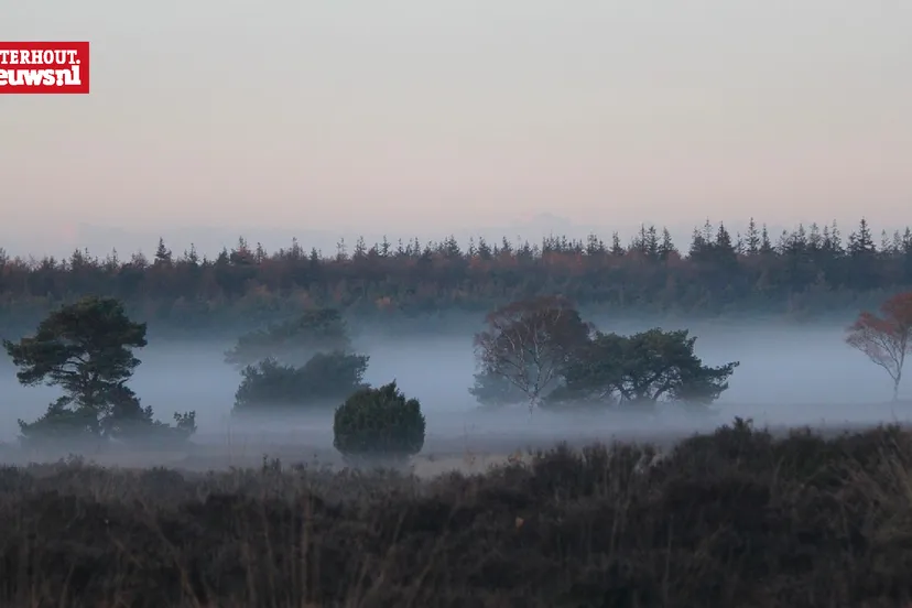mist veluwe