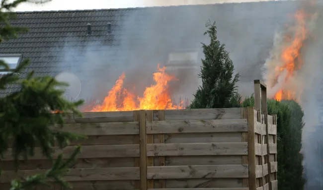 nw5qctlcg1doelgwk0lrajs1l voliere1