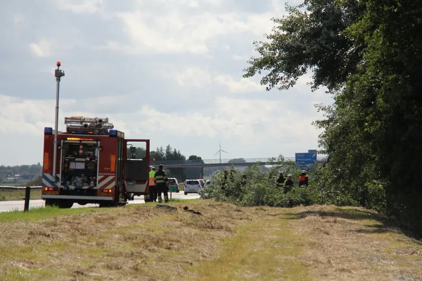 o5ourug7dgcv6hg9ptifrnwq3 image 11 3