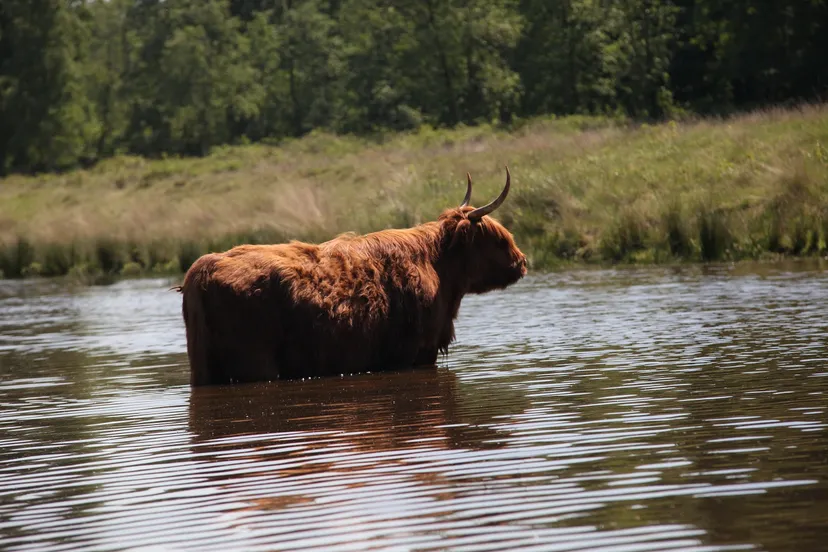 p8yt0rtv2f02jexebob1khad9 1 4