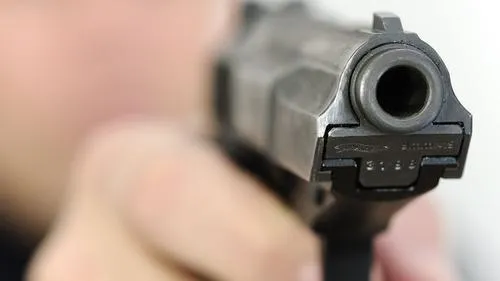 ptvvz8sik3flrhrneds2acjce pistool anp