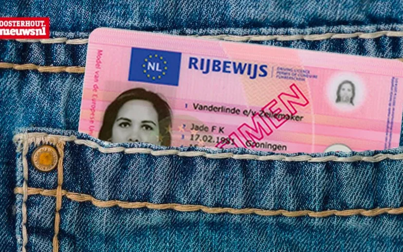 rijbewijs nl