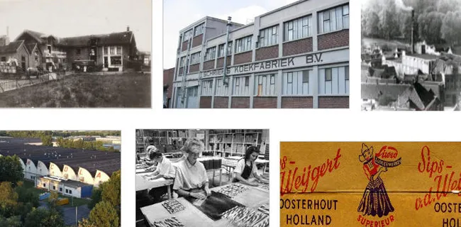 s46o7cgnvxvy24cfdv36zwa06 bittersweet 2