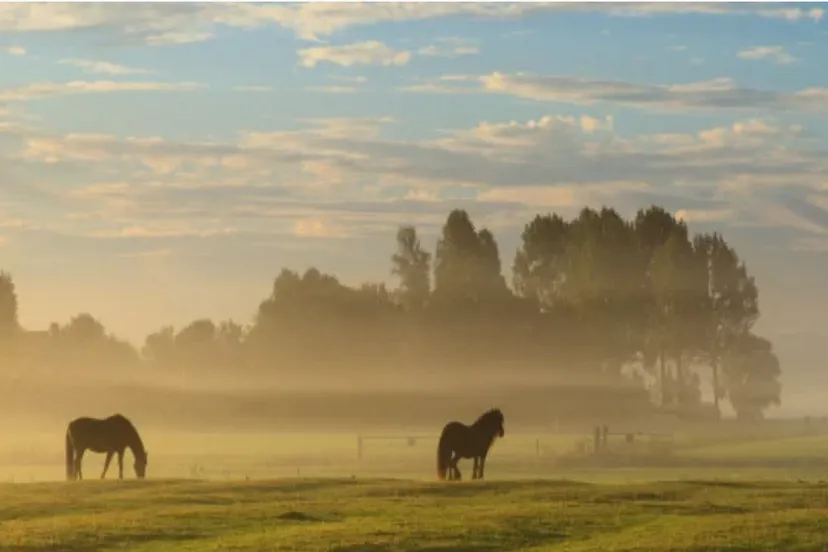 schermafbeelding 2017 09 23 om 081921
