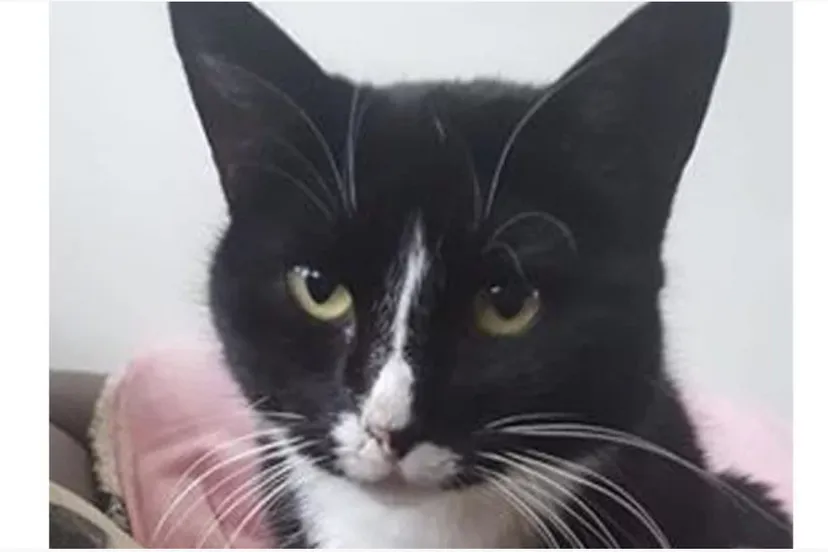 schermafbeelding 2018 04 05 om 065112