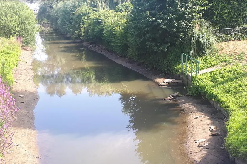 schermafbeelding 2018 07 20 om 143001