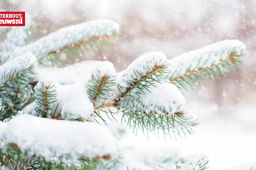 sneeuw kerstboom