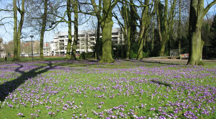 stadspark