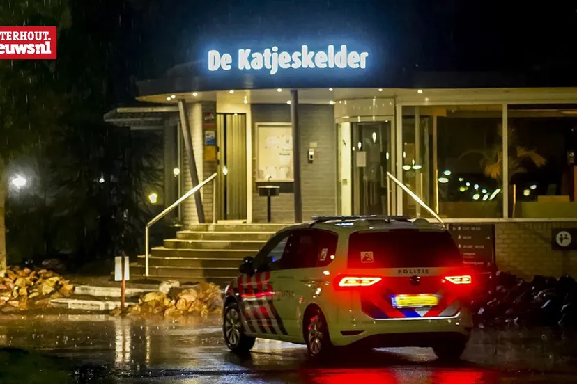 steekpartij katjeskelder