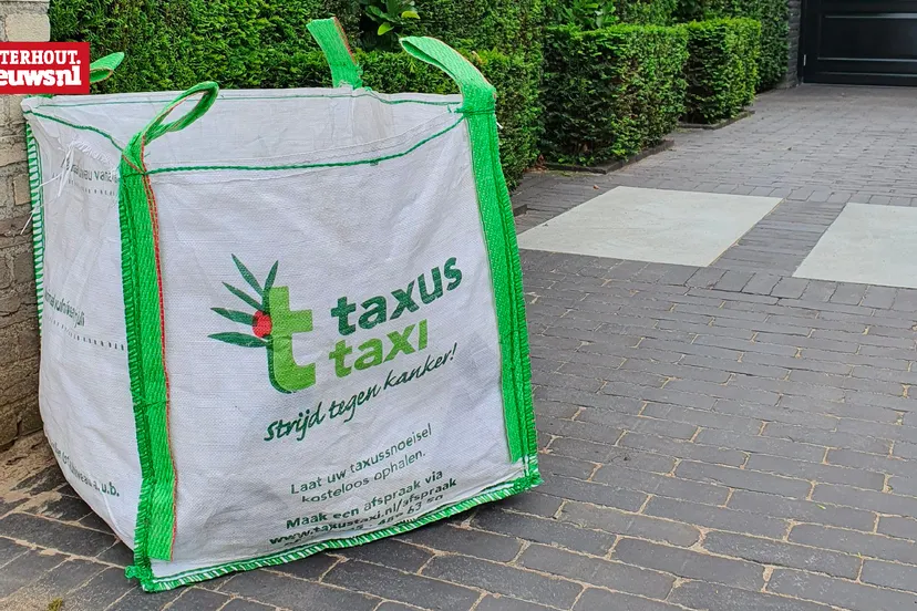 taxus taxi tas