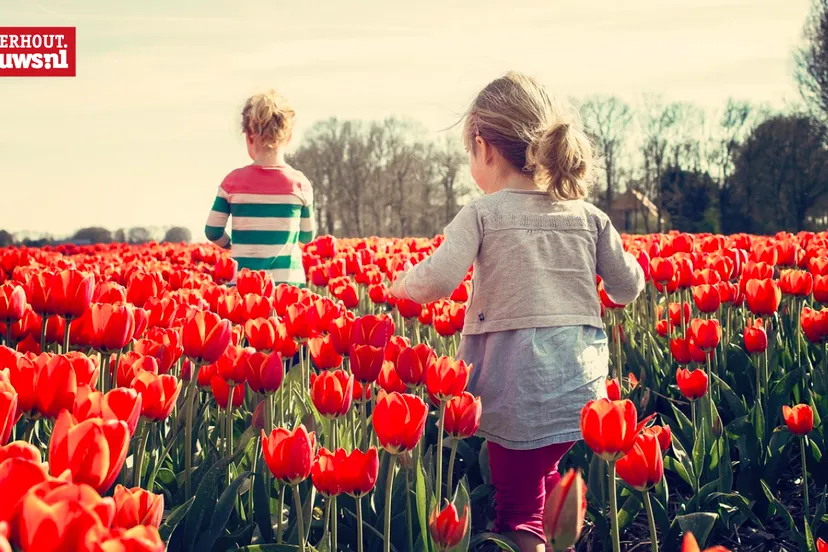 tulpen meisjes