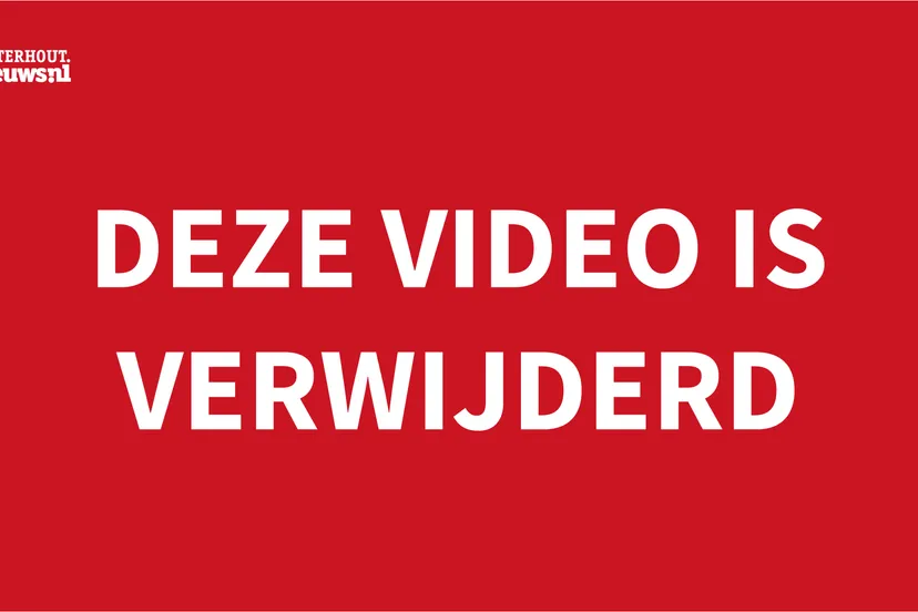 video verwijderd