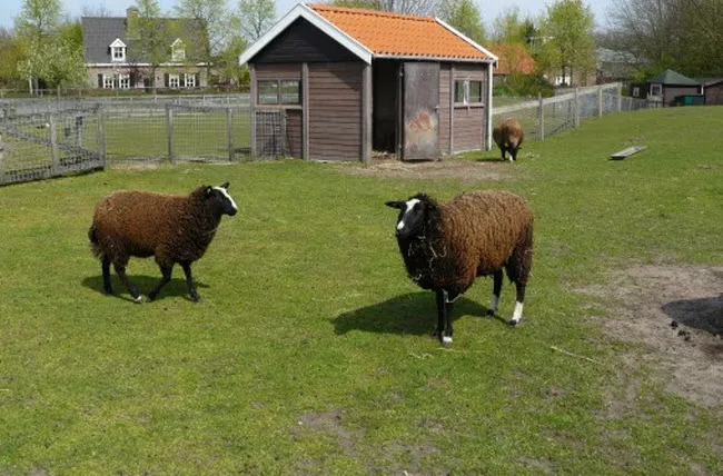 vtjwfgerz500diwdswpuu5b8o mek 2