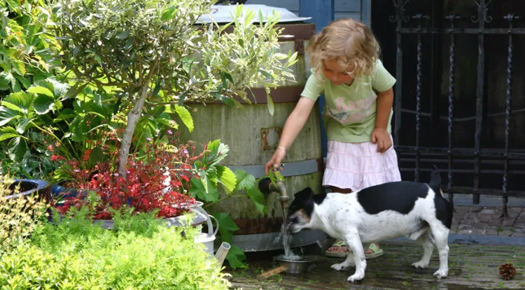 waterschap brabantse delta