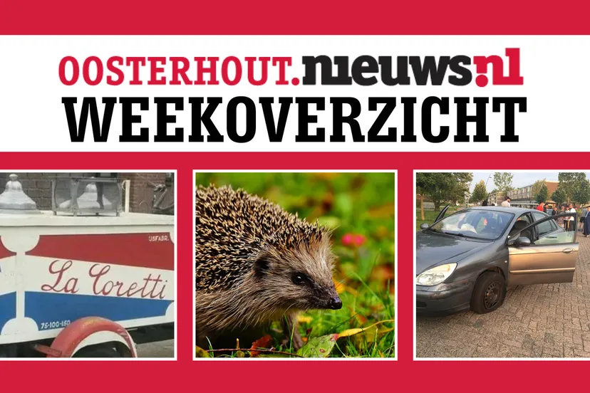 weekoverzicht 20170826