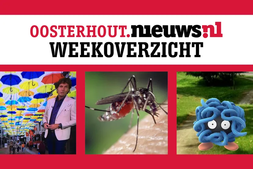 weekoverzicht