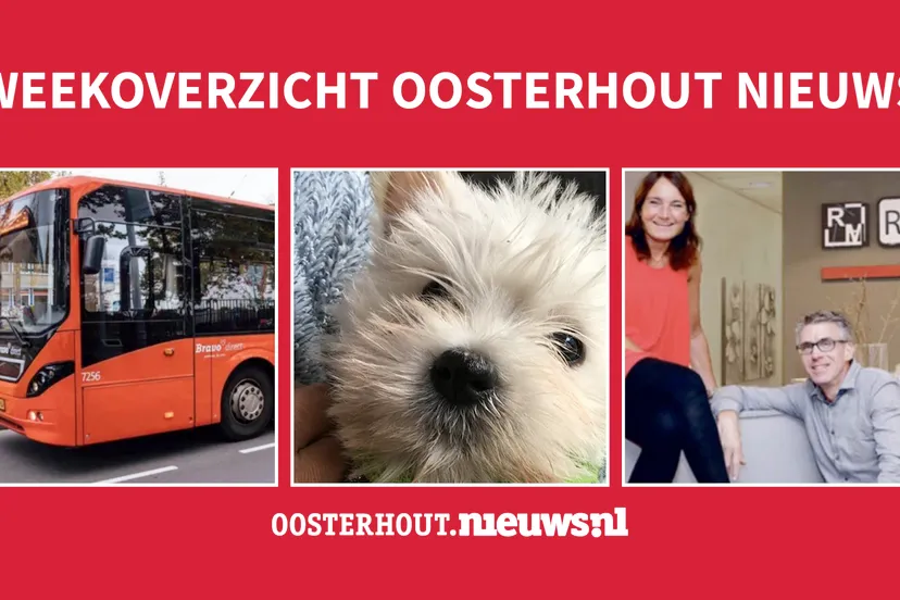 weekoverzicht nw