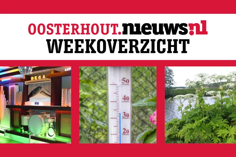weekoverzicht1