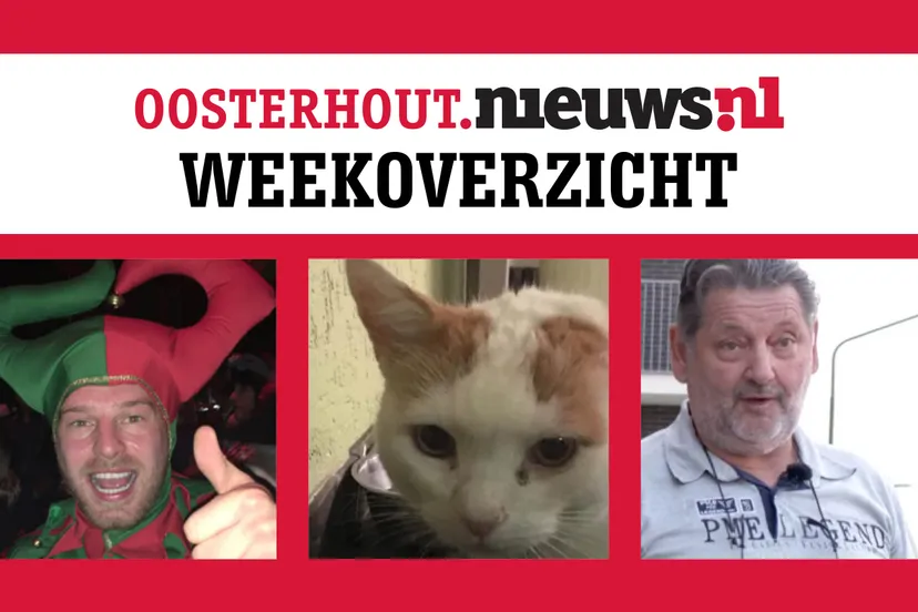 weekoverzicht1