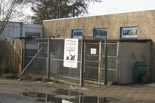 wy0f73fs6f7k43so3xgiffhfu oeglx2xyi8mjs22r6z6b3ij4u w500 c