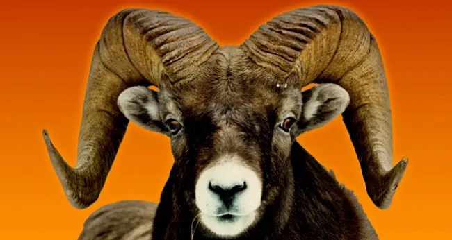 y7lr116r06oxd34757wpscpou bok