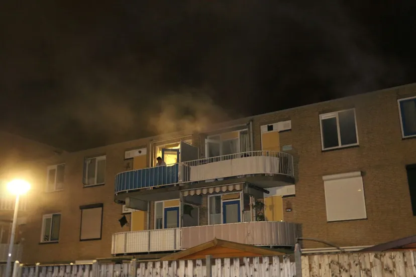 yl6i0fpmqa5pgirybs4kj2c4t brand 2