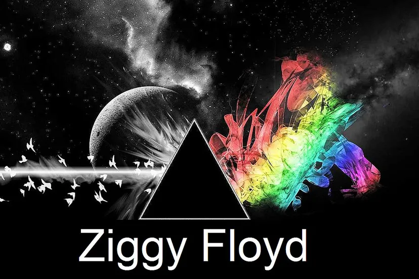 ziggy floyd