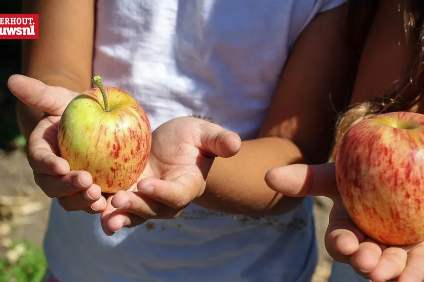 appels plukken kinderen