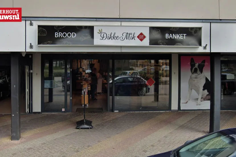 dikke mik zuiderhout