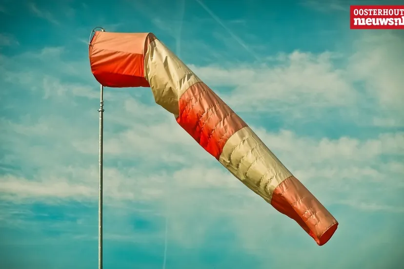 whatsapp image 2024 07 09 at 111651