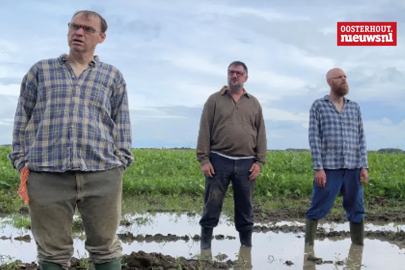 diemaalplankenkoorts