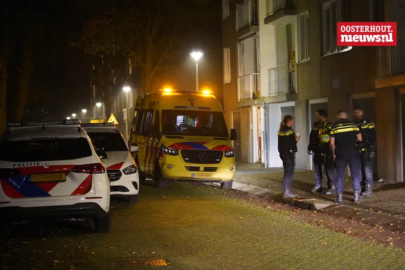 steekpartij palestrinalaan