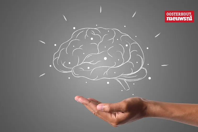 _hersenen