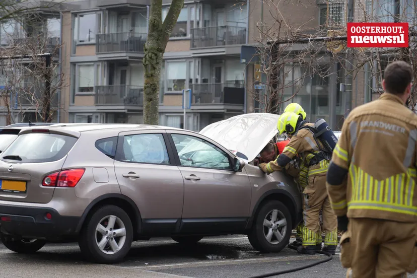 _autobrand Schapendries