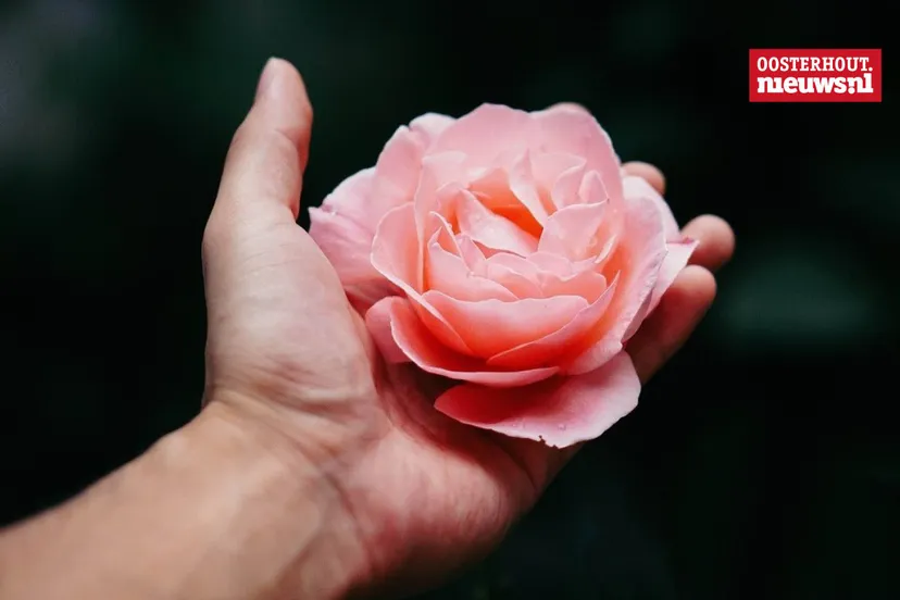 _doorgeefroos Poppy's