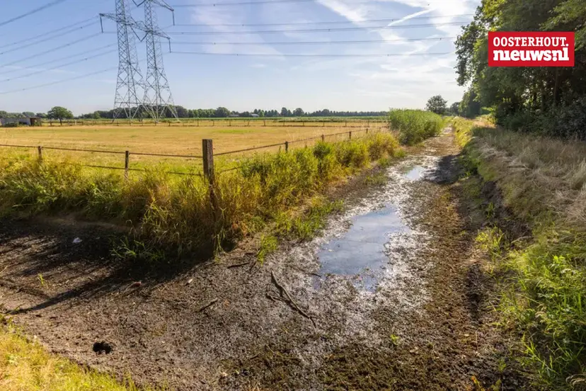 _droogte waterschap