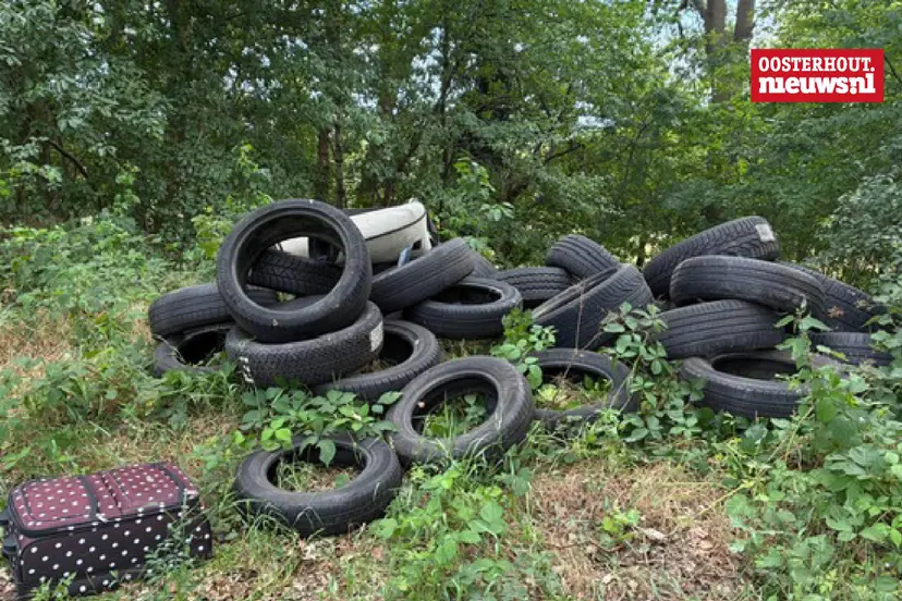 _Dumping autobanden