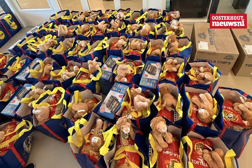 _Lions zomertas 2026