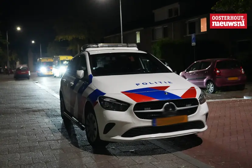 _steekpartij