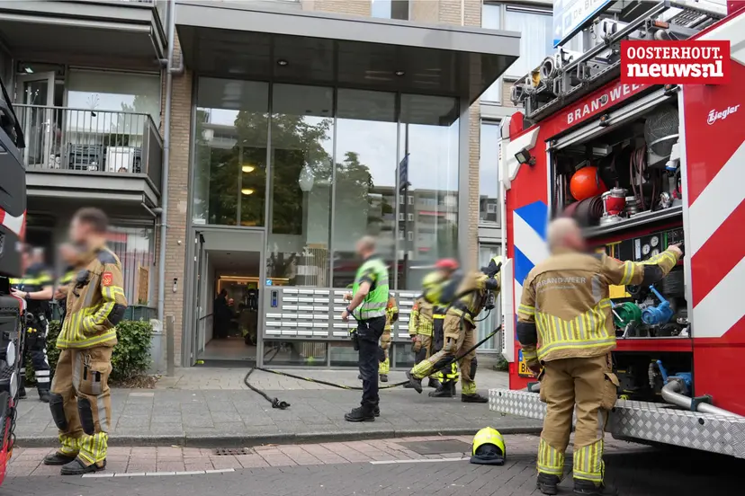 _Brand Stuve2