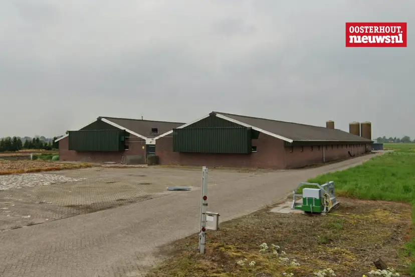 _De Rooij Varkenshouderij