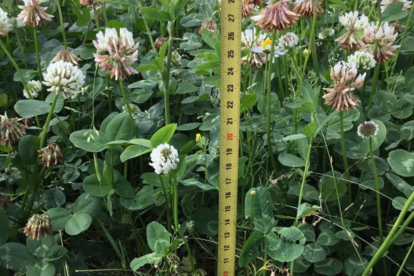 1052 36e02963850e096e1c84892b107dac70