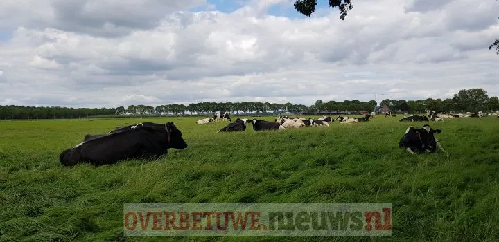 116357402 732399063987733 364752495113447959 n