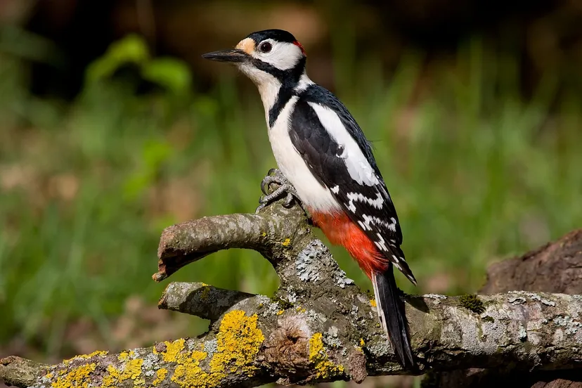 1181 7922332f3beff8f4ab5d878598d6f9c4