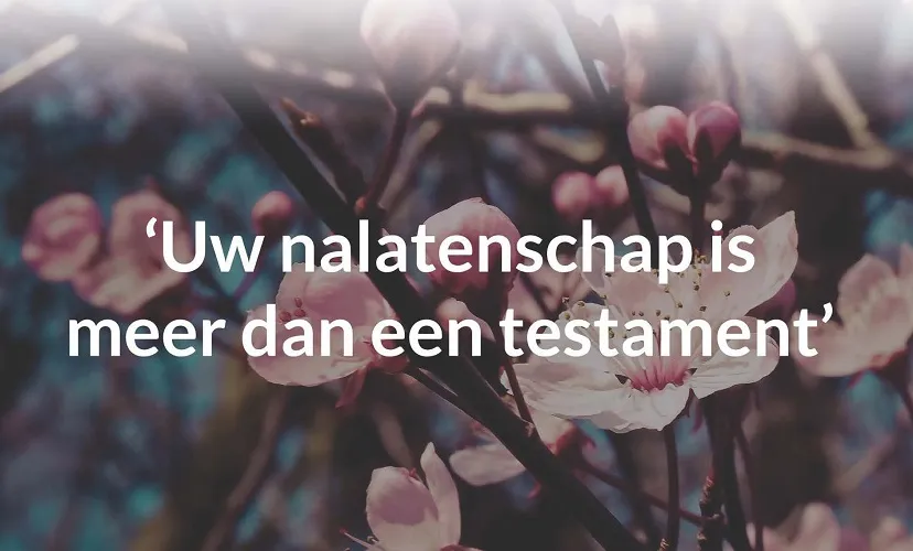 119019398 160082705710050 1441419544201184961 o1