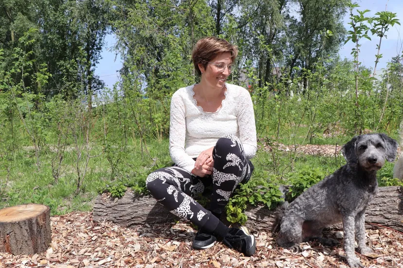 1584 2dbc5eeb7990c75b18e35351b7a36f0e